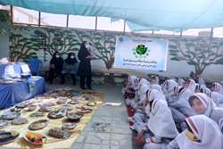 برگزاری جشنواره غذای سالم در یکی از مدارس فراشبند به مناسبت هفته سلامت