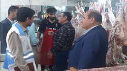 اجرای برنامه گشت مشترک بهداشتی و نظارتی در فراشبند