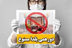 هشدار رئیس مرکز بهداشت فراشبند در خصوص شب یلدا؛ با برگزاری دورهمی های خانوادگی در شب یلدا، سلامت خود و اطرافیان‌مان را به خطر نیندازیم