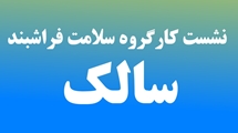 برگزاری نشست هم اندیشی مسوولان شهرستان فراشبند برای مقابله با سالک