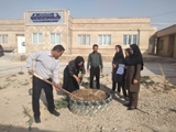 نهالی برای آینده، به دست مادری باردار؛ به مناسبت هفته جوانی جمعیت در دهرم